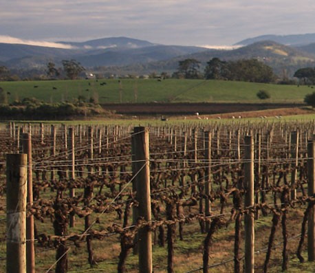 无障碍操作的网页攻击平台